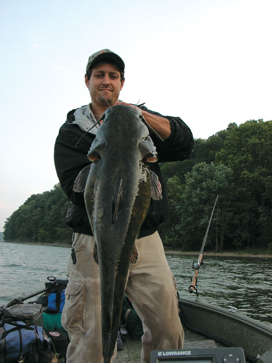 Reservoir Flathead Catfish - In-Fisherman