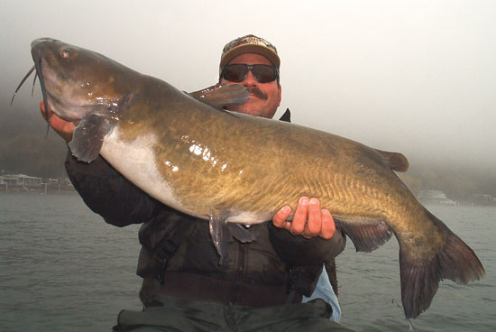 Night-fishing for catfish - Carolina Sportsman