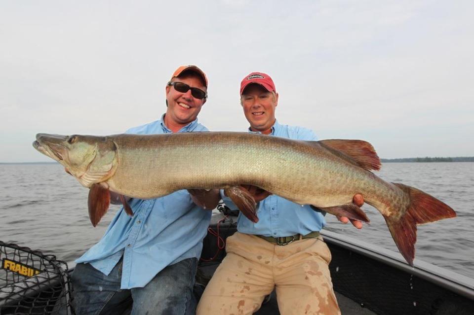 Muskie Fishing Heats up as Temperatures Cool