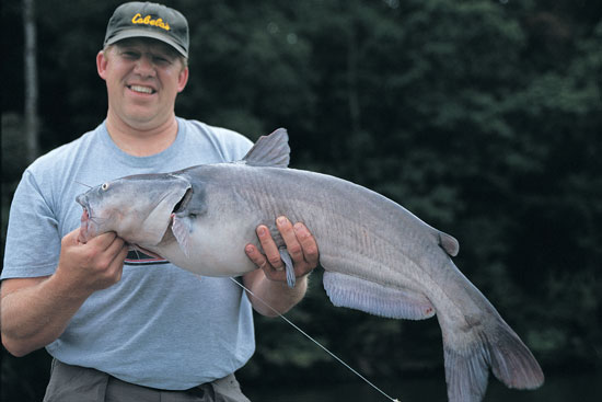 Rigging your catfish boat - Mississippi Sportsman
