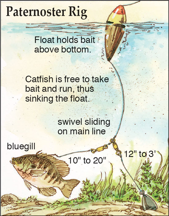 Classic Catfish Rigs - In-Fisherman