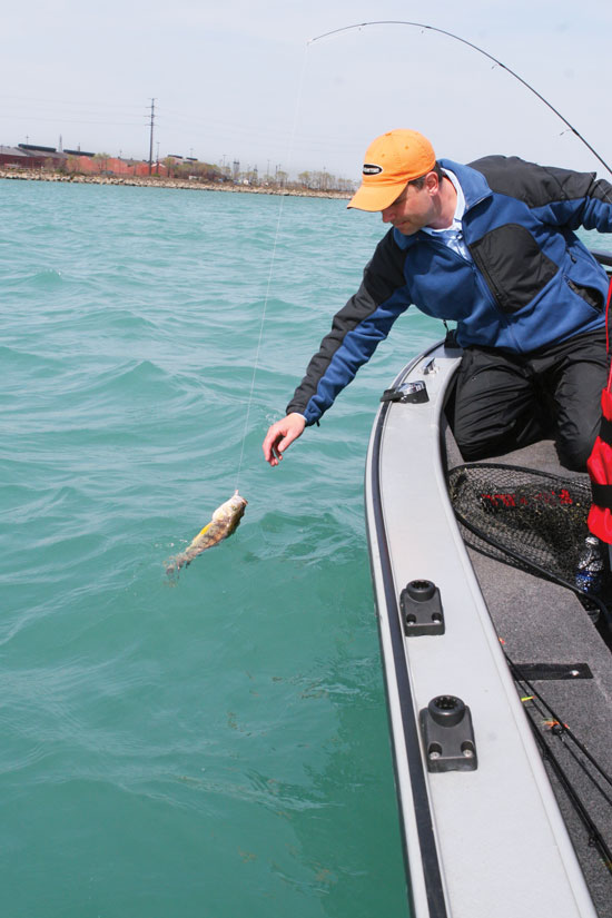 Great Lakes Perch Boom 