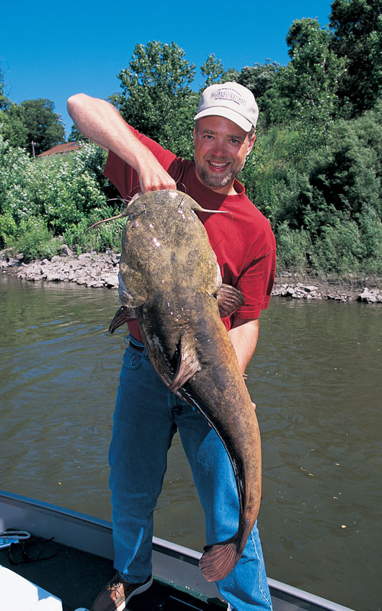 Fishing tips for Mississippi River catfish