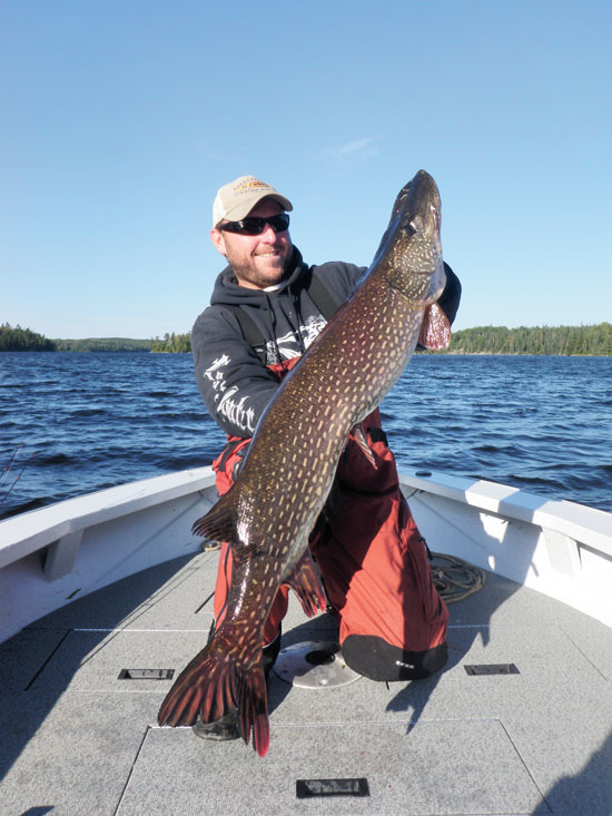 Top Picks for Canadian Shield Pike