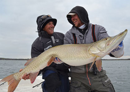 Dahlberg&apos;s Fantastic 5 Pike and Muskie Tips