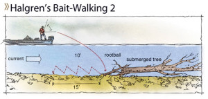 Catfish Bait Walking Systems - In-Fisherman