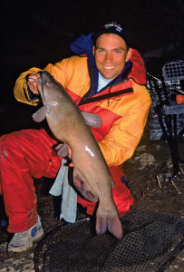 Channel Catfish  Ohio Department of Natural Resources