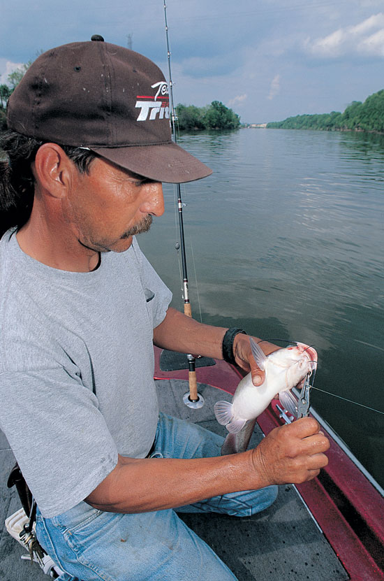 An angler kneeling in a boat holding a catfish.