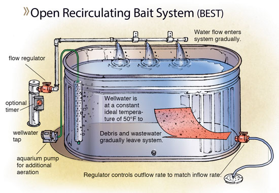 A Cost Effective Bait Tank That Works. 