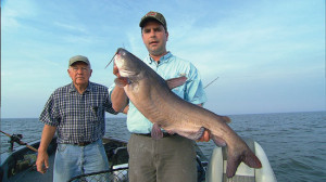 Open-Water-Catfish-Hold-In-Fisherman