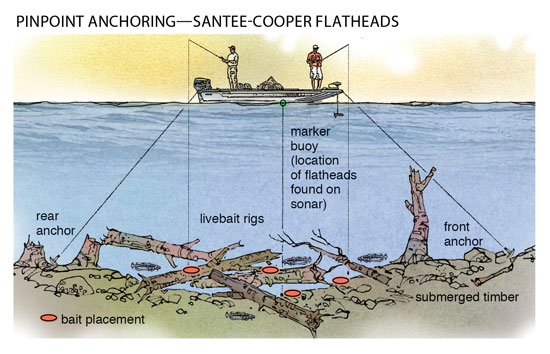 Drifting for catfish at Santee Cooper – Santee Cooper Life