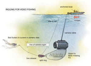 Rigging-for-Video-Fishing-In-Fisherman