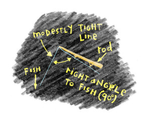 Rod-Angle-Blackboard-Illustration-In-Fisherman
