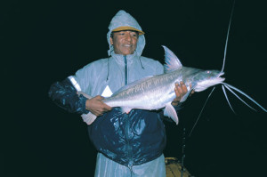 South-American-Catfish-Lead-In-Fisherman