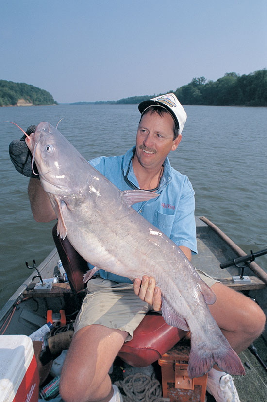 An angler sitting in a boat holding a big catfish.