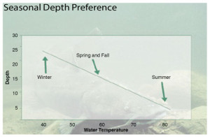 Flathead-Catfish-Seasonal-Depth-Preference-In-Fisherman