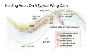 Holding-Areas-On-A-Typical-Wing-Dam-In-Fisherman