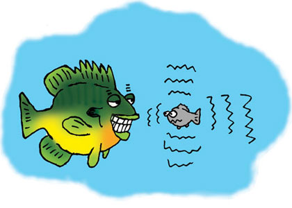 Panfish Senses and Triggers