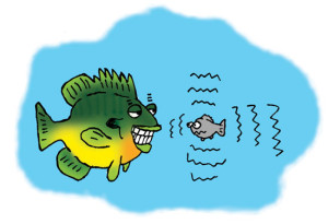 Quivering-Minnow-Illustration-In-Fisherman