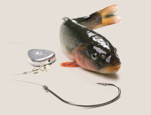 Steeles-Tackle-and-Bait-Solutions-In-Fisherman