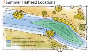 Summer-Flathead-Locations-In-Fisherman