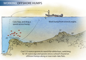 Working-Offshore-Humps-In-Fisherman