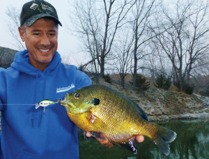 Bluegill Comments - In-Fisherman