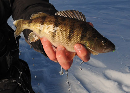 Flow Factors for Ice Fishing Current