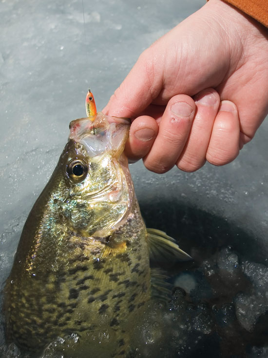 https://files.osgnetworks.tv/15/files/2014/10/Crappie-Jig-Ice-Fishing-Hole-In-Fisherman.jpg