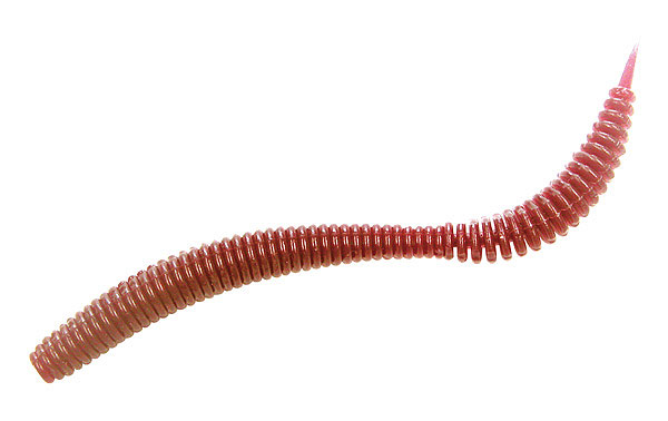 vagabondmhcworm