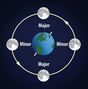 In-Fisherman Solunar Best Times to Fish Calendar Explained - In