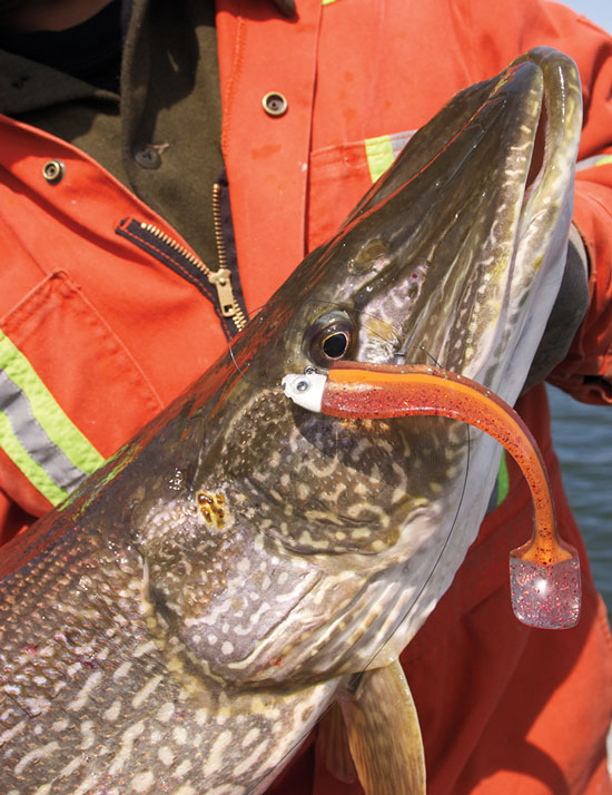 Fish On Lures - This young man caught a lot of pike on Fish On