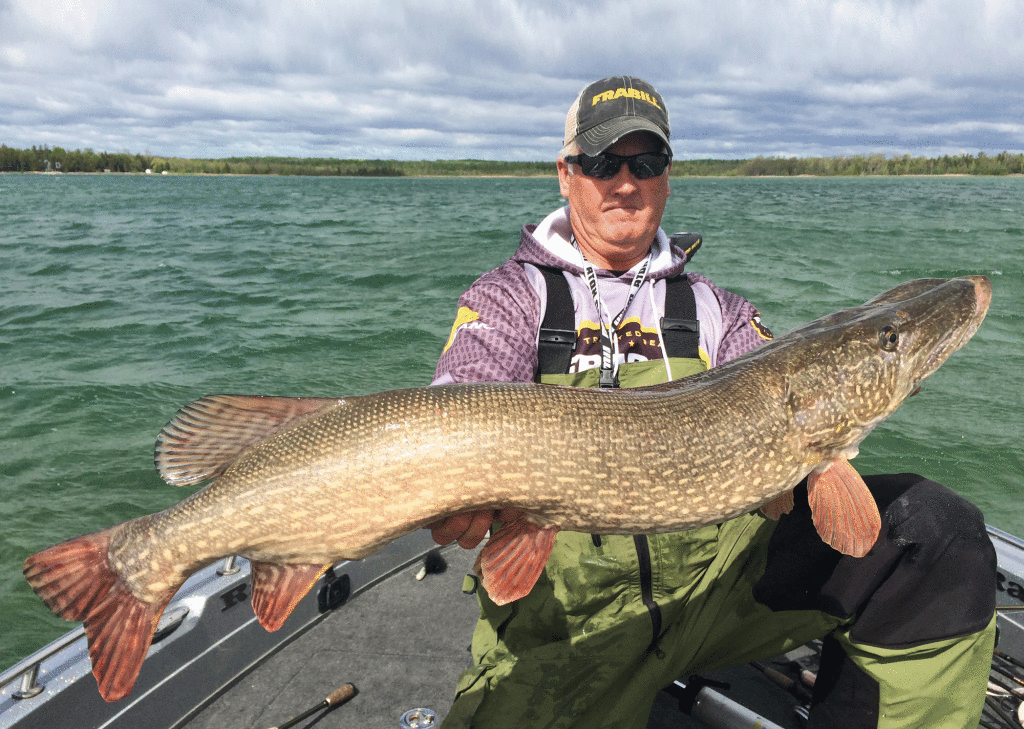 Great Lakes Pike