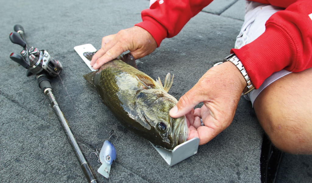 2015 Bass Regulations Today