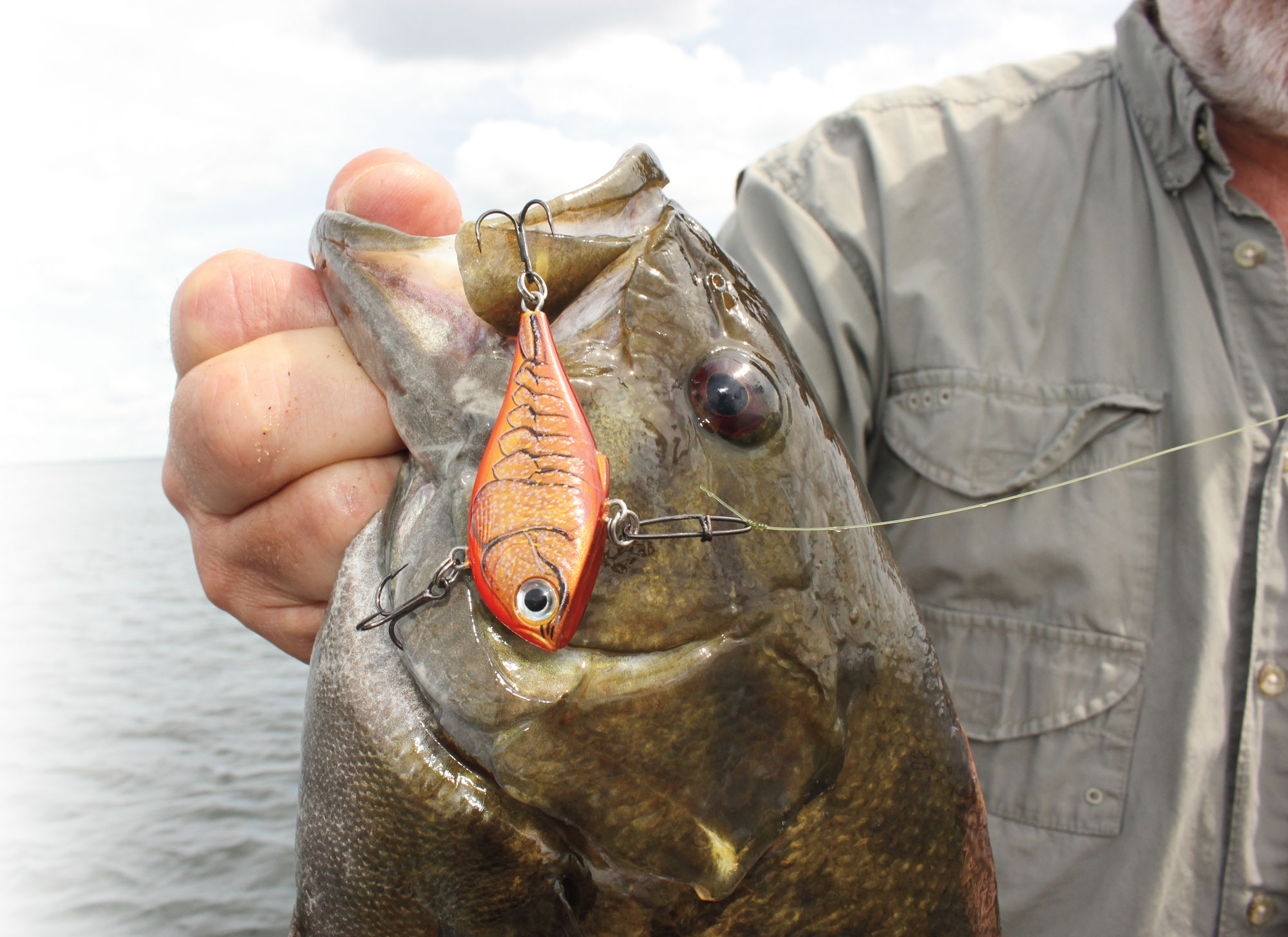 3 Ways To Use Rattling Baits To Catch More Bass