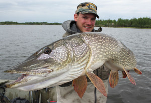 Soft Baits For Pike - In-Fisherman