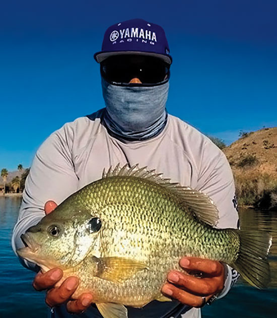 Outdoors  Anglers set to turn attention to bluegill