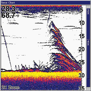 Vertical Jigging Strategies for White Bass