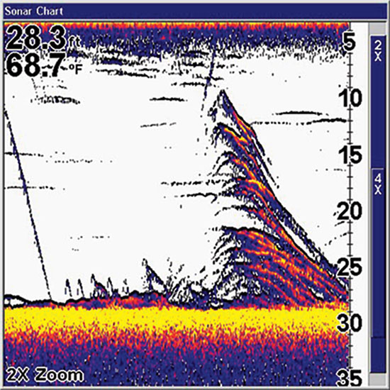 Vertical Jigging Strategies for White Bass