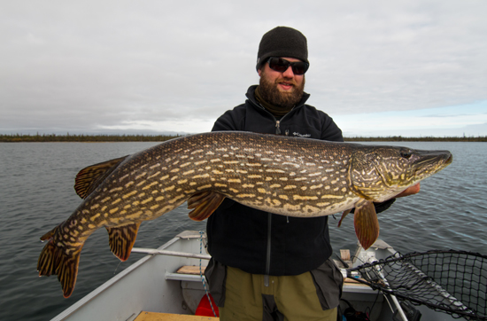 Programs for Spring Pike
