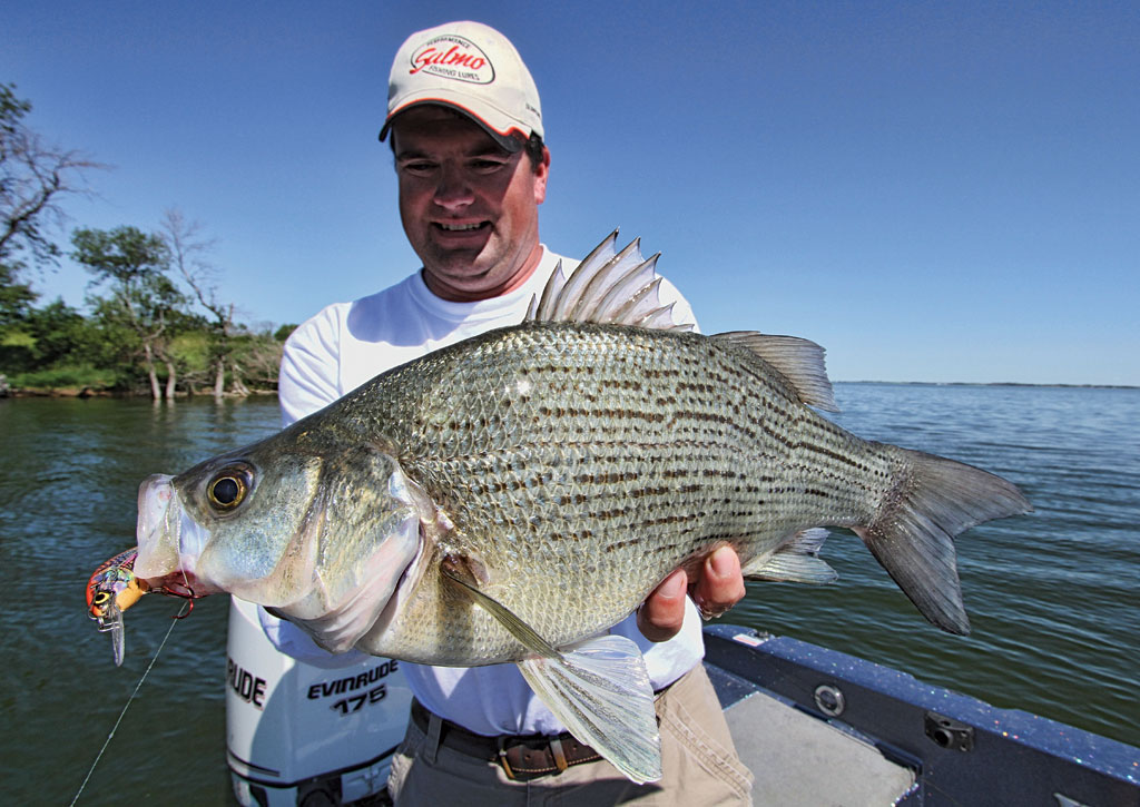 A man holding a white bass