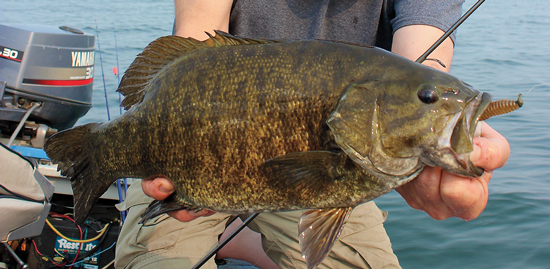 The Best Lures For Smallmouth Bass