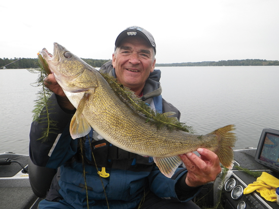 Walleyes In Weeds - In-Fisherman