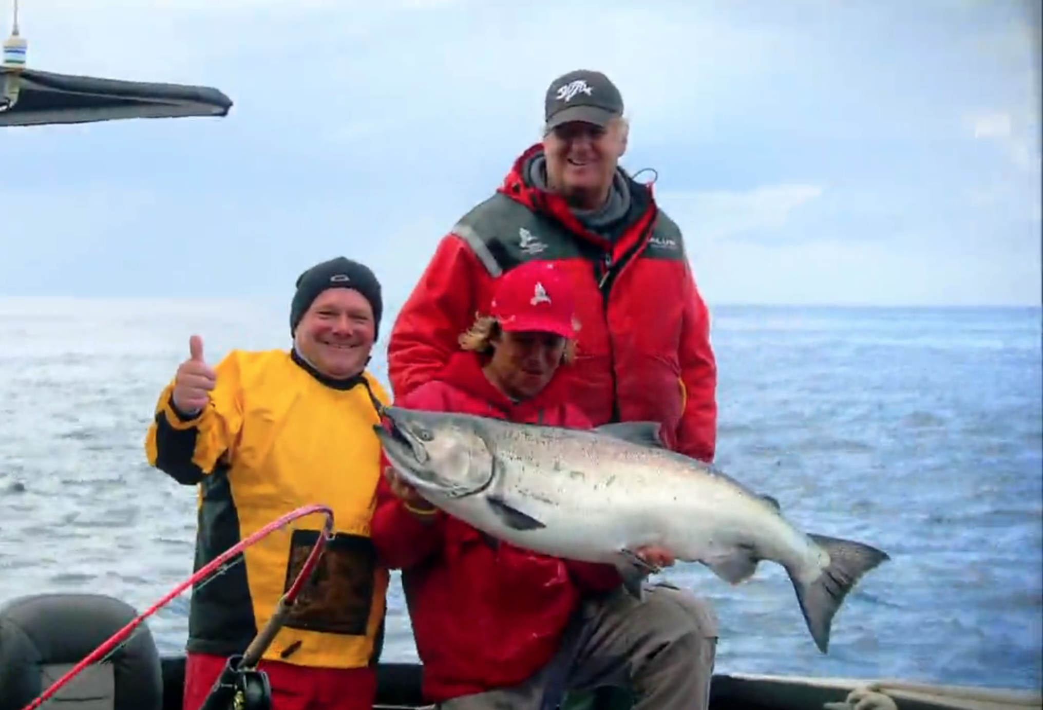 how much does a king salmon weigh