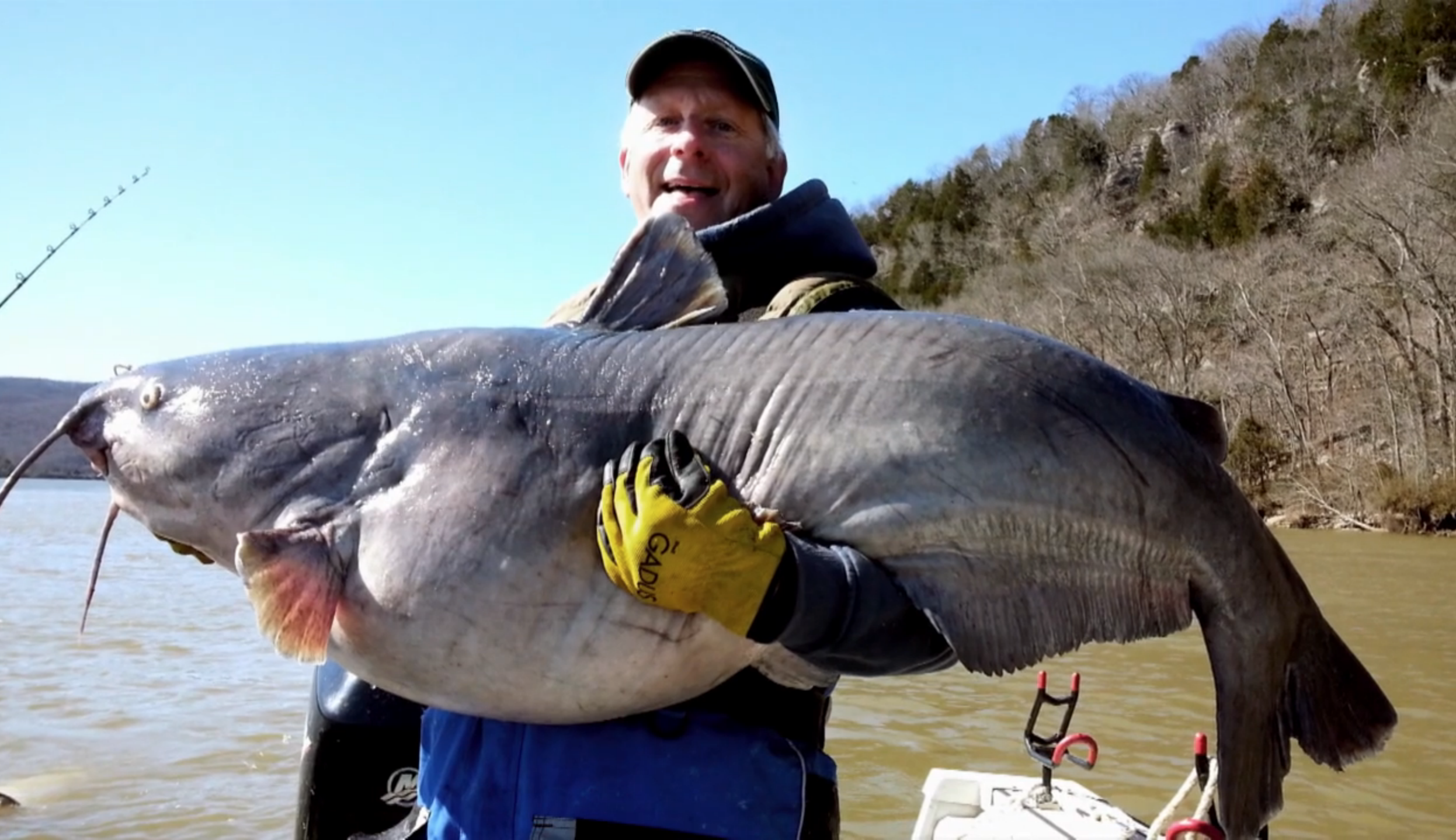 Wheeler Reservoir, Alabama Blue Catfish