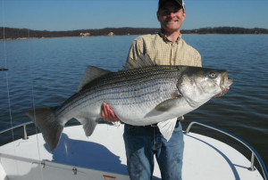 striped-bass-matt-morgan-landenberg-pa-54-inches-in-fisherman