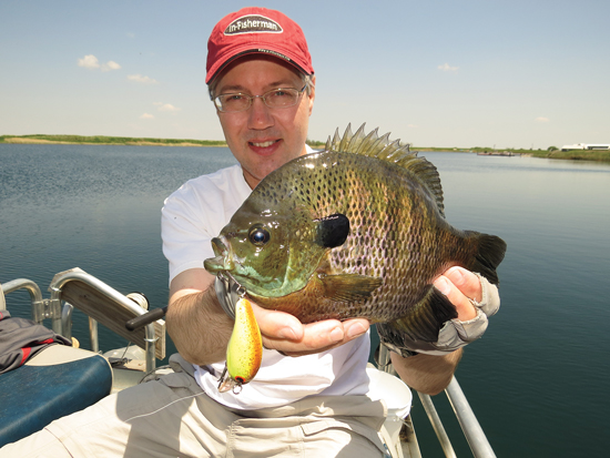 Bluegill, Docks, and Bobbers: A guide to Catching Bluegill