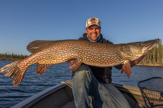 Canadian Pike Perspectives