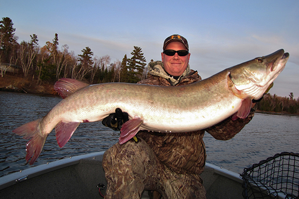 Trolling Spinnerbaits - Trophy Muskie - Ontario Fishing & Hunting
