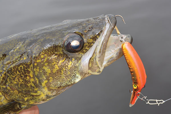 Cranking Up The Heat in Northern Ontario: Crankbaits and Fishing